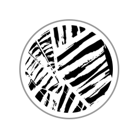 Attribute Image