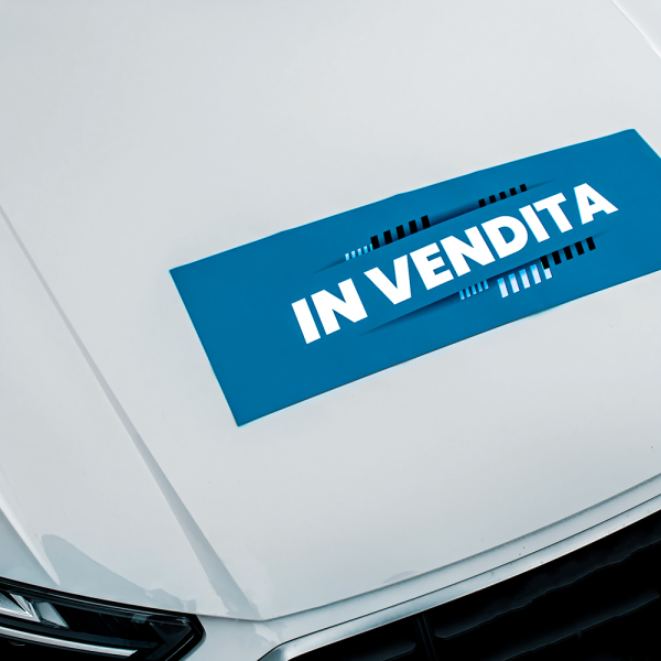 Pellicola magnetica Auto-Moto